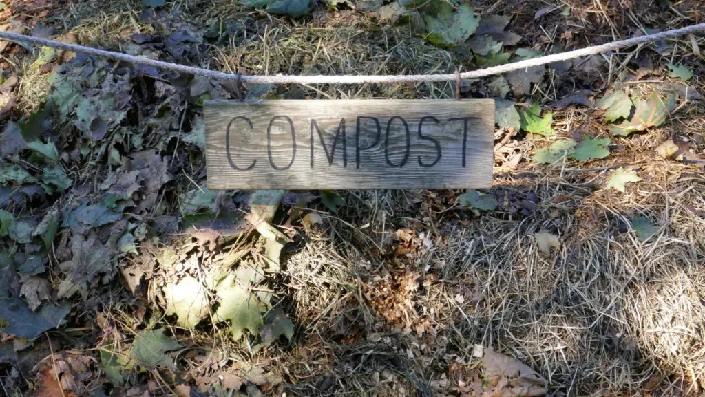 Why Does My Compost Have Mold? Theyardable