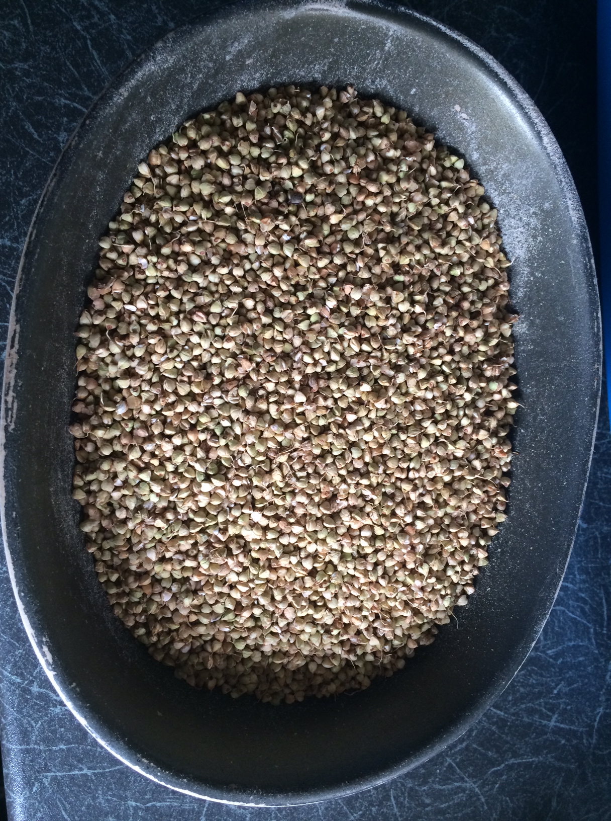 How to brew with buckwheat (and why…) theyeastieboy