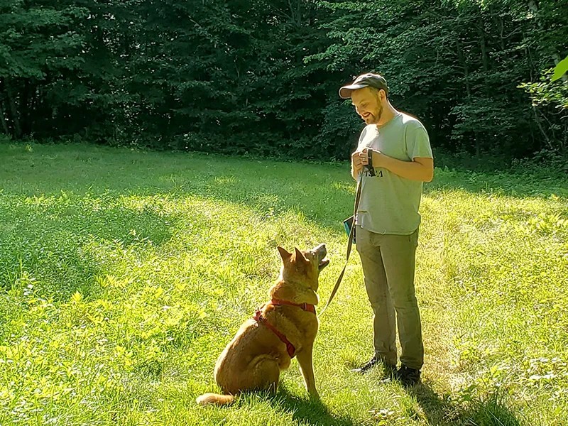 The Yellow Dog's Barn Dog Daycare & Grooming, Barrington, NH