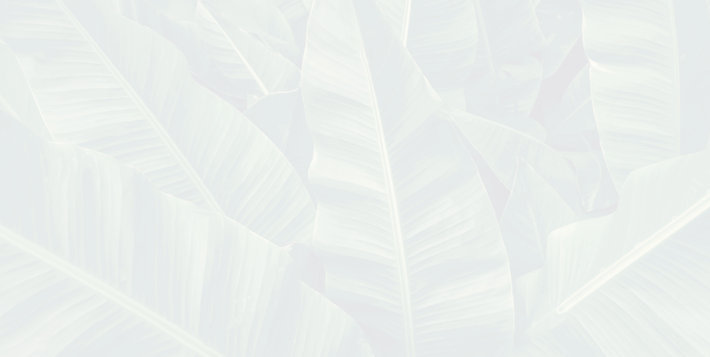 Yin & Yoga Flow for Beginners Term & Conditions Yoga Barn