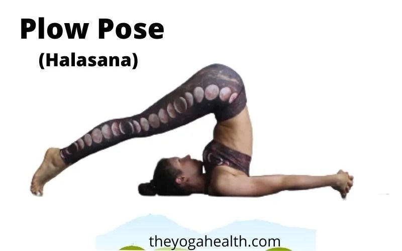 Plow Pose (Halasana) Benefits, Steps & Variations TheYogaHealth