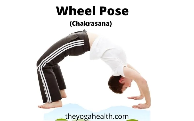 Yoga Wheel Pose Benefits, Steps, Variations