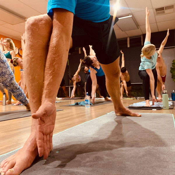 The Hive Wollongong Yoga Studio The Yoga Hive
