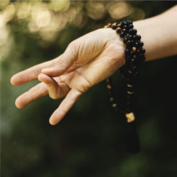 Better Living Yoga Retreats The Yoga Institute Goa