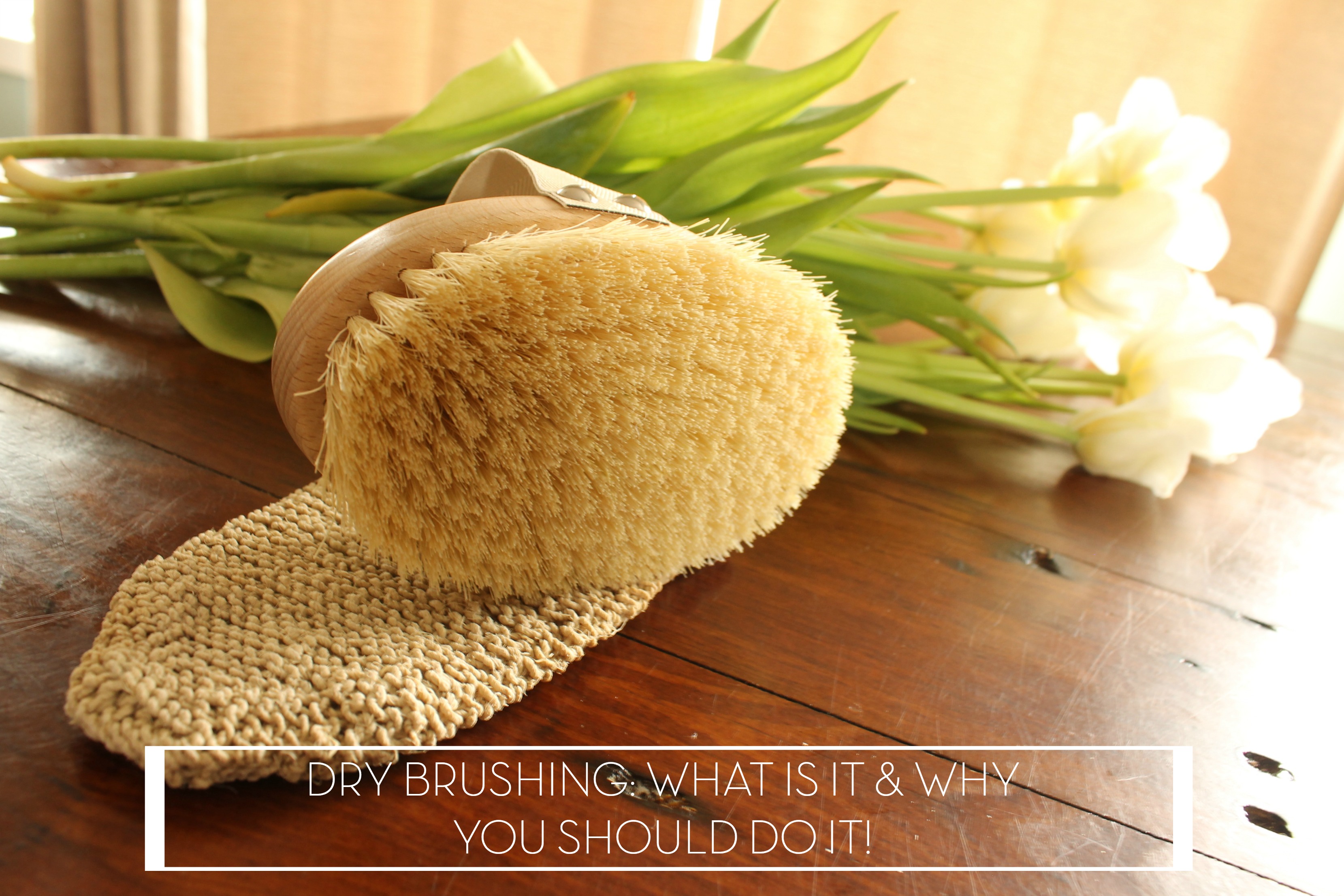 The Benefits of Dry Skin Brushing and Why You Should Start Too! They Roar