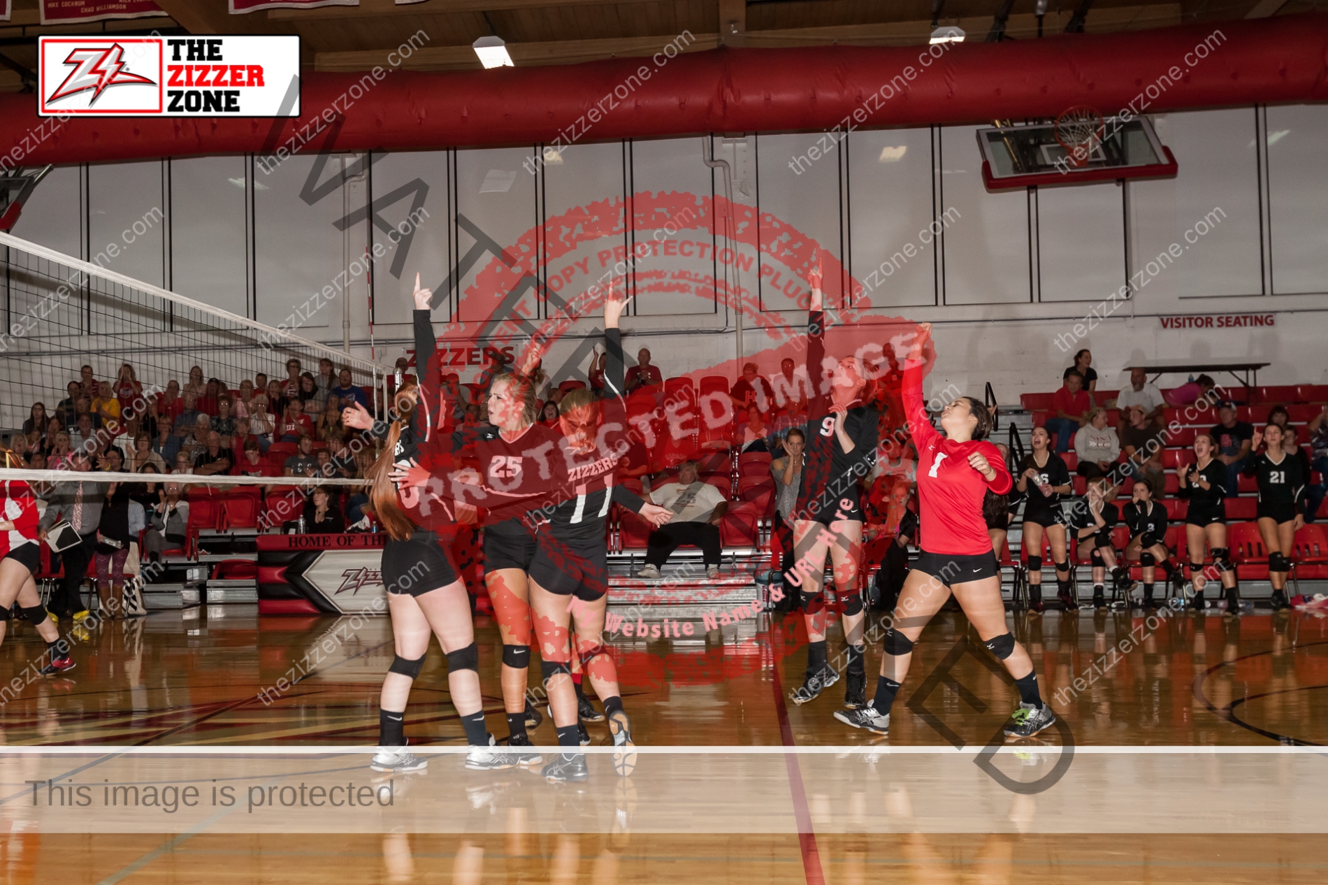 Volleyball Goes 3 Sets Against Houston And Falls The Zizzer Zone