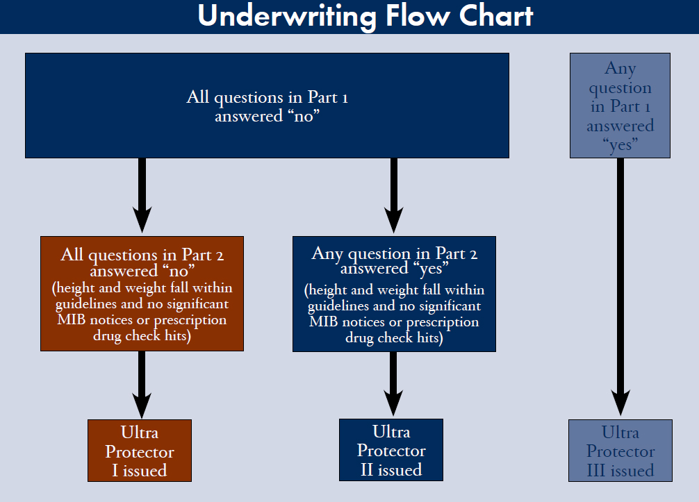 Americo Quick Training with TZG theZONEgroup
