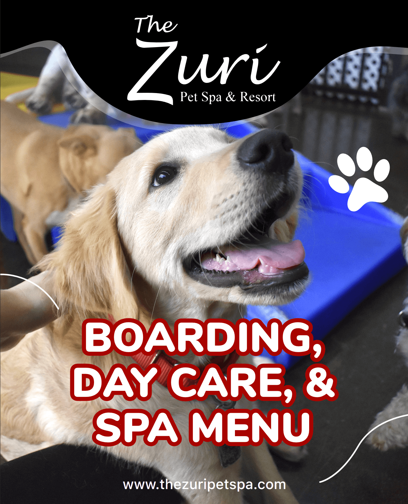 zuri pet spa prices Jolene Neeley