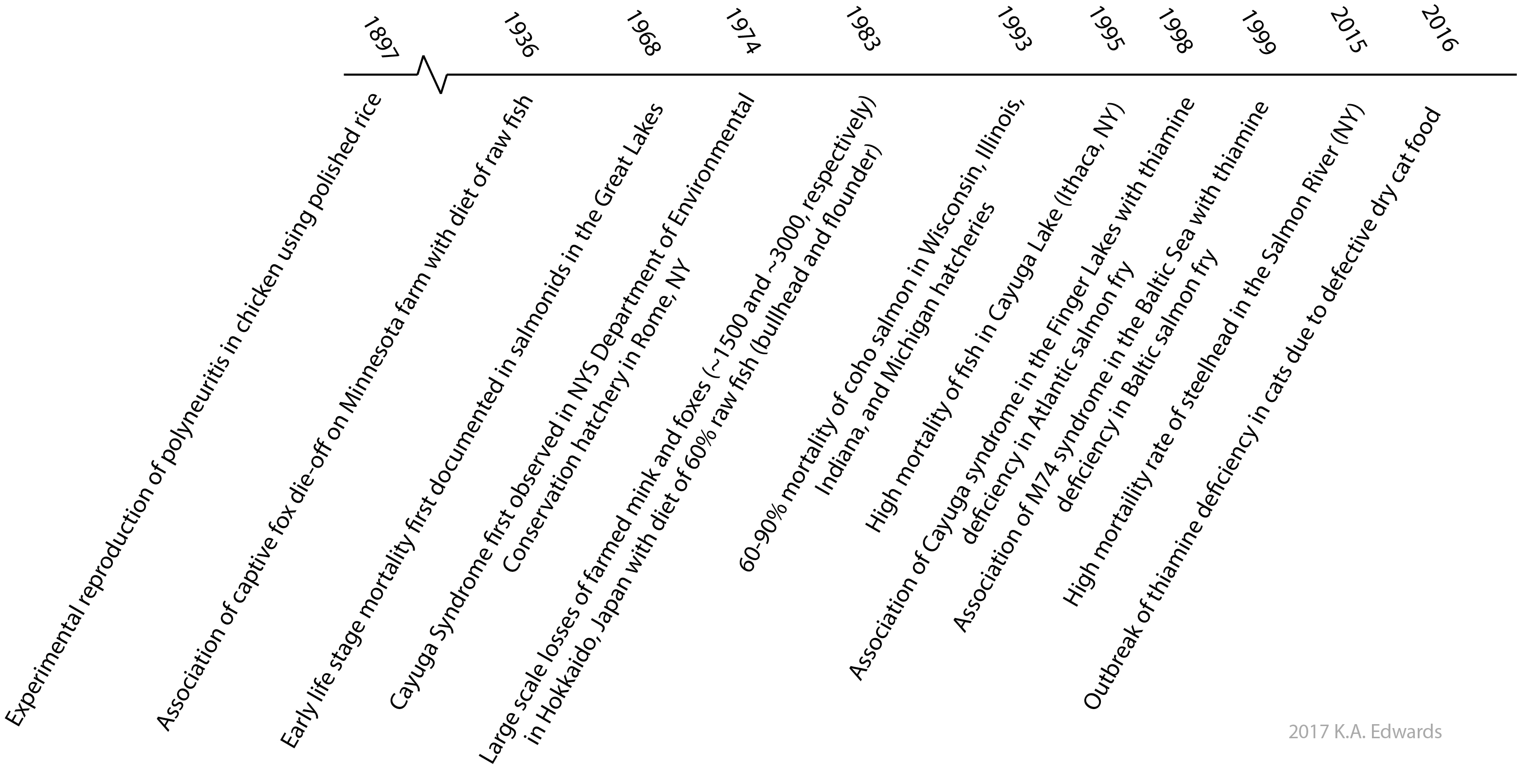 Impact of thiamine deficiency