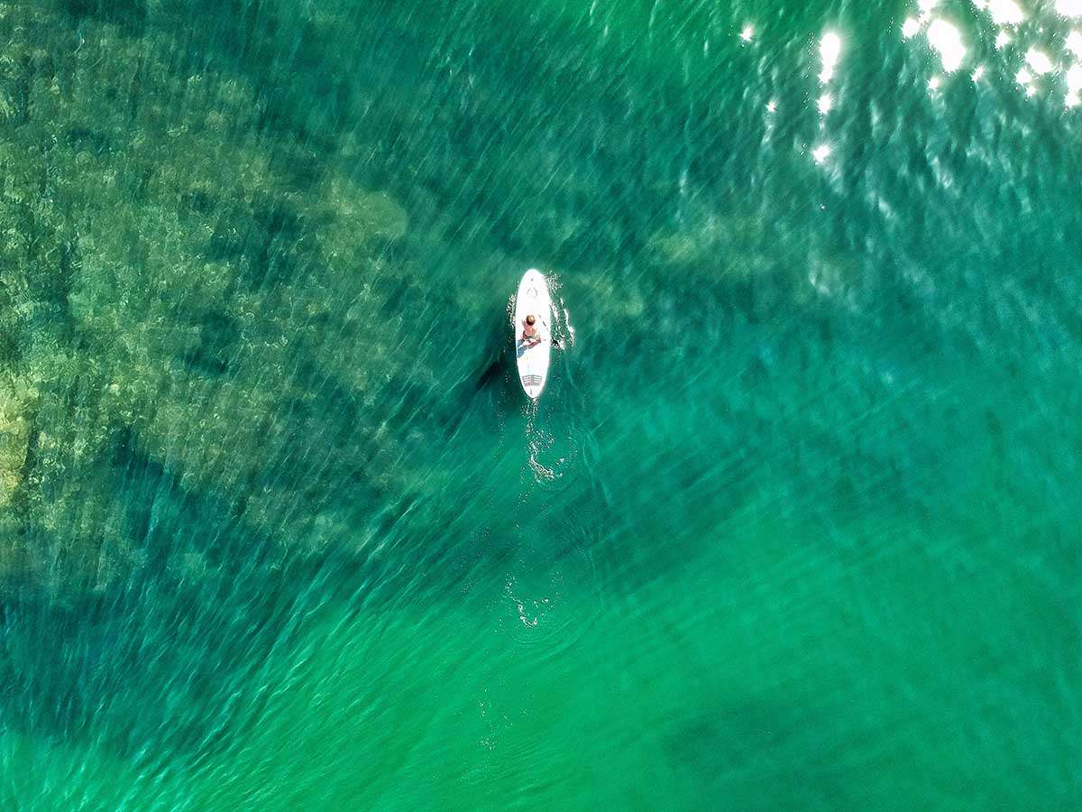 paddleboarding in usa; paddleboarding in california; lake tahoe; paddleboarding in santa cruz california; water sports in california; water sports hawaii; travel consultant charlotte north carolina; paddleboarding in bahamas; paddleboarding costa rica; paddleboarding vacation; wellness vacation