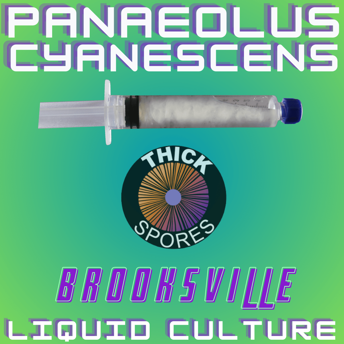 Panaeolus Cyanescens Brooksville Liquid Culture Syringe • Thick Spores