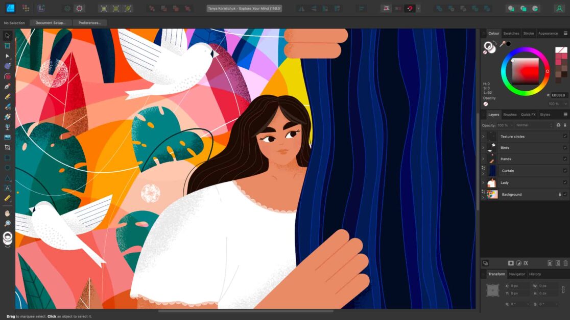 Best Graphic Design Software Collection for Designers 2024