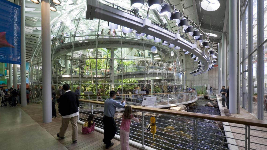 Steinhart Aquarium, San Francisco Thinc Design