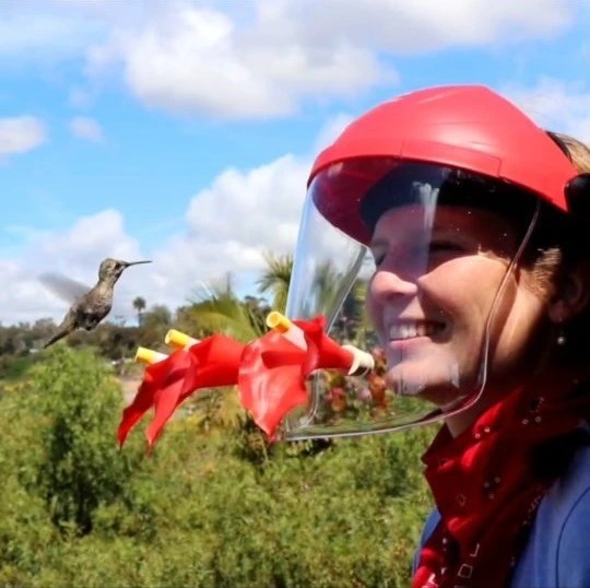 Hummingbird Feeder Mask This Year's Best Gift Ideas