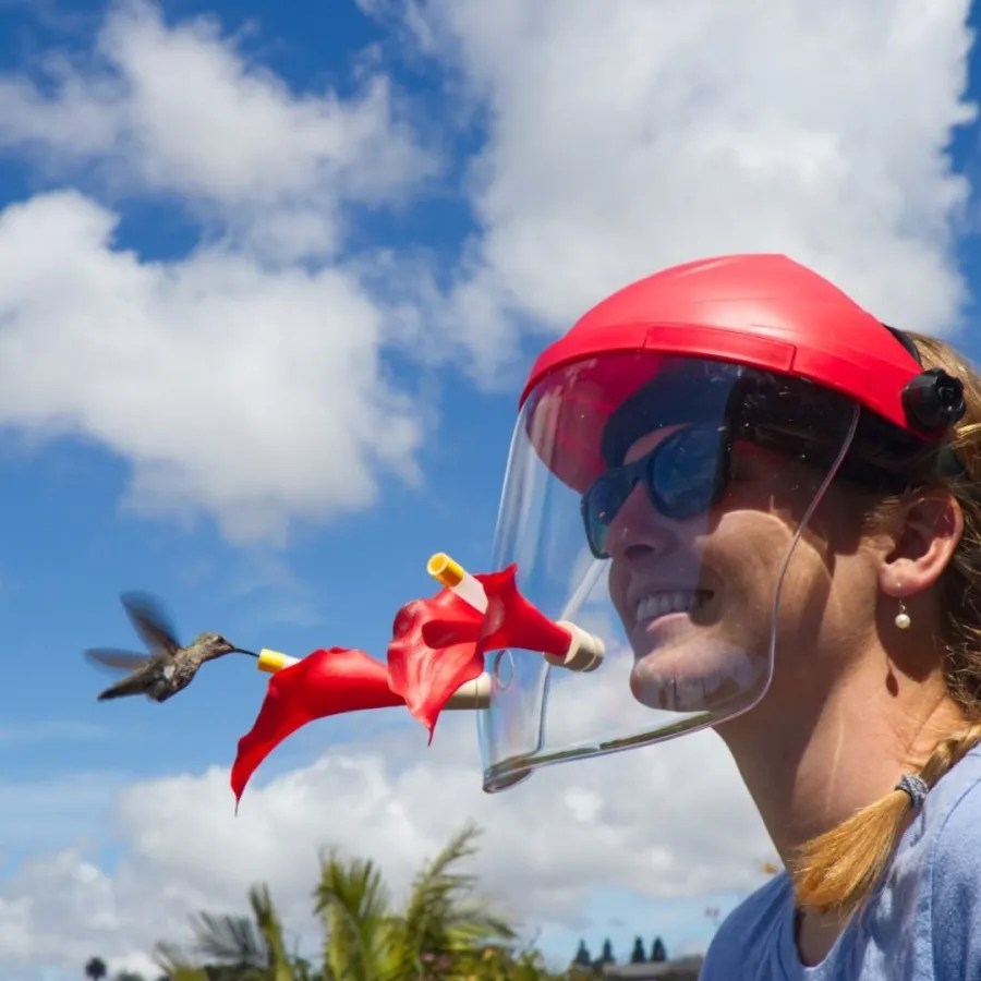 Hummingbird Feeder Mask This Year's Best Gift Ideas