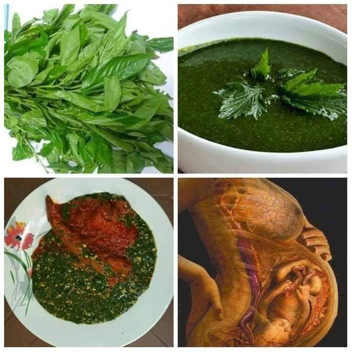 HEALTH BENEFITS OF JUTE LEAVES (EWEDU LEAF) ThingsCouplesDo