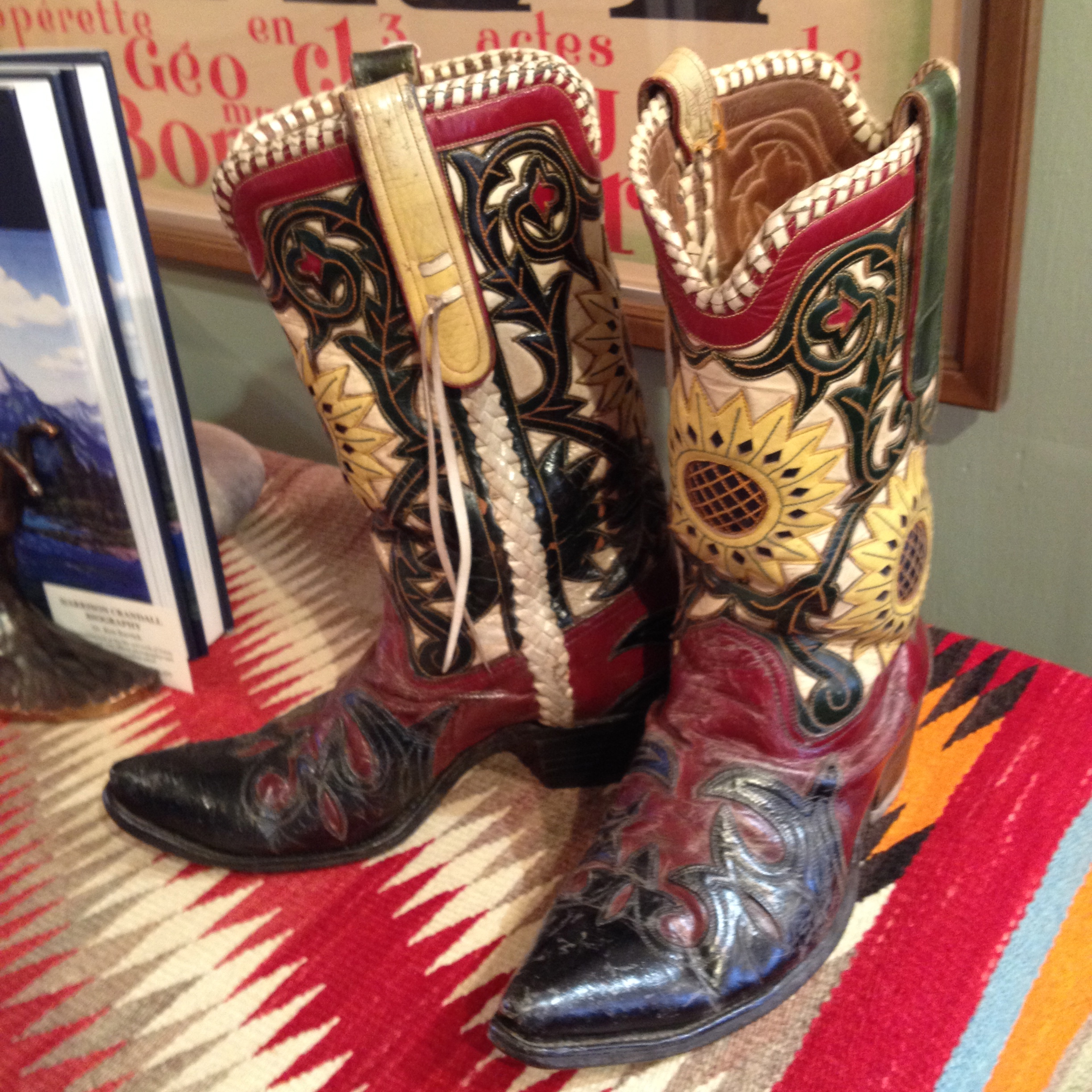 Jackson Hole Highlights