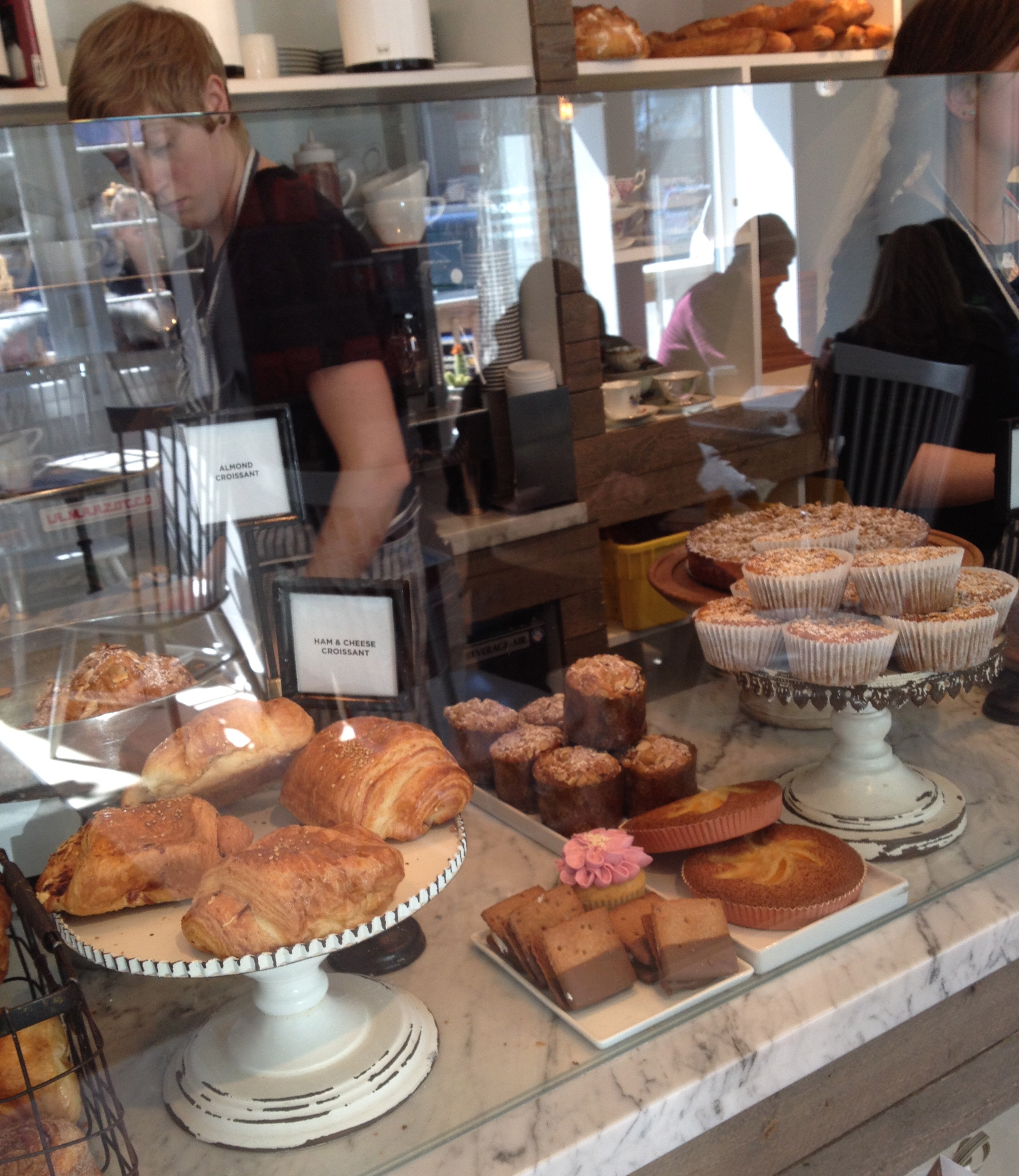 Jackson Hole Highlights