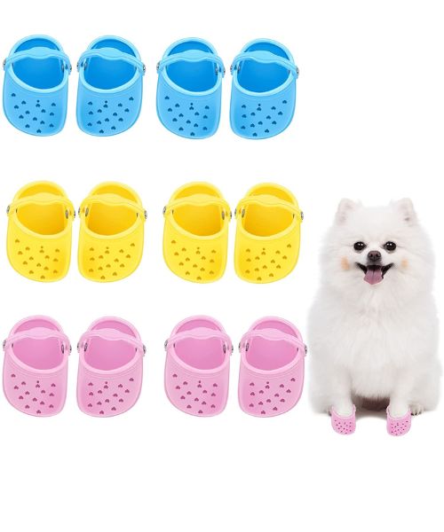 2022 Dog Crocs For Small Dogs.