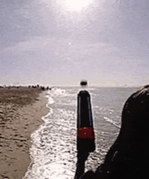 NERF Dog Ball Launcher