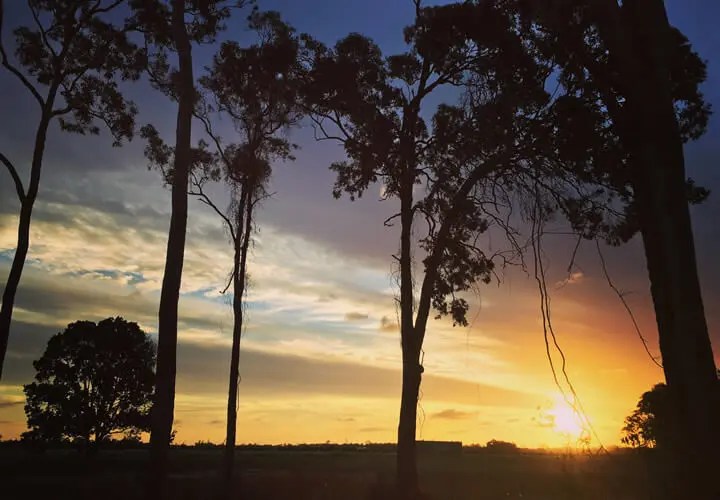 Splitters Farm Bundaberg Where To Stay