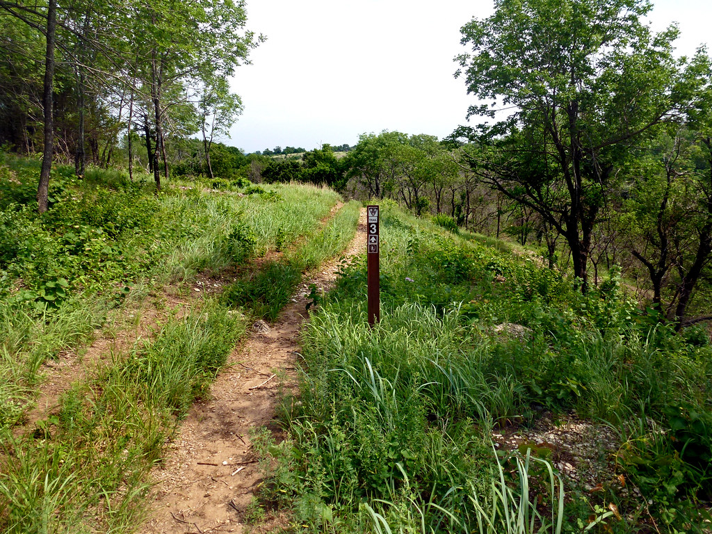 Best Hiking Trails in Washington DC Things To Do In The DMV