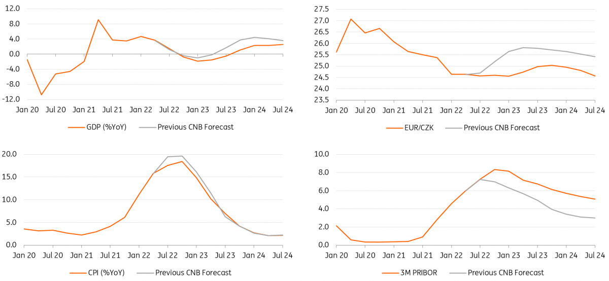 Czech National Bank Review Rate hike shall not pass articles ING Think