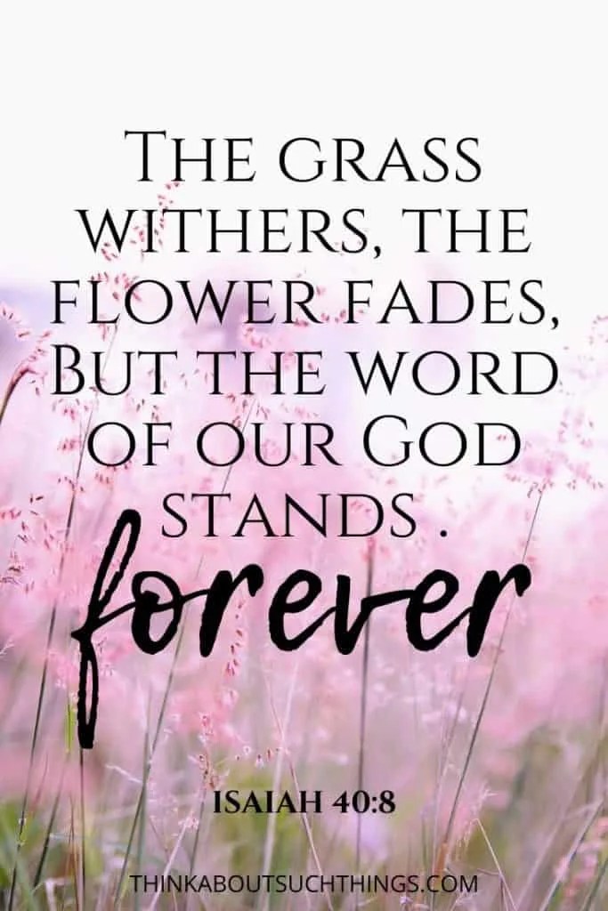 25 Interesting Bible Verses About Flowers Think About Such Things