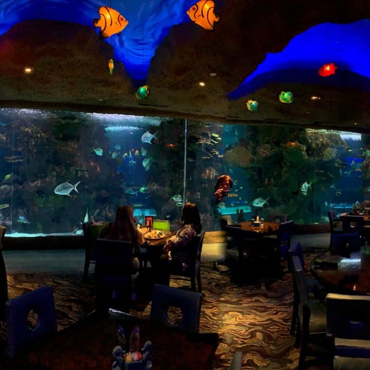 37 Funny Yet Cheesy Bible Puns And Church Puns Think About Such Things