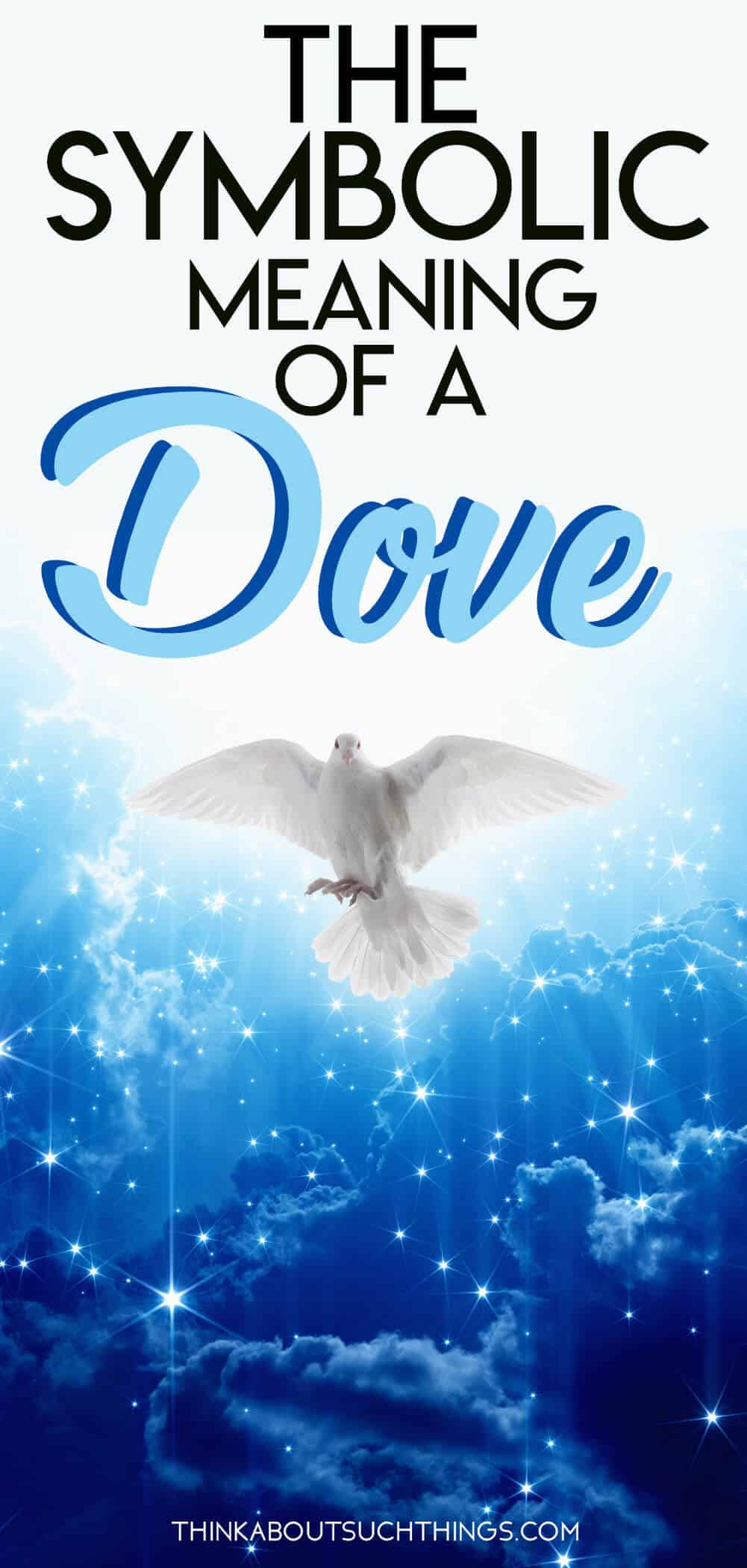 What Does A Dove Symbolism? 9 Meanings We See In The Bible Think