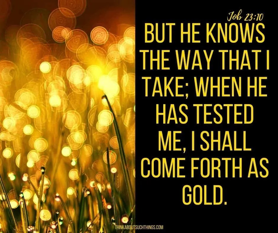 The Power Of The Refiner's Fire In Your Life Think About Such Things