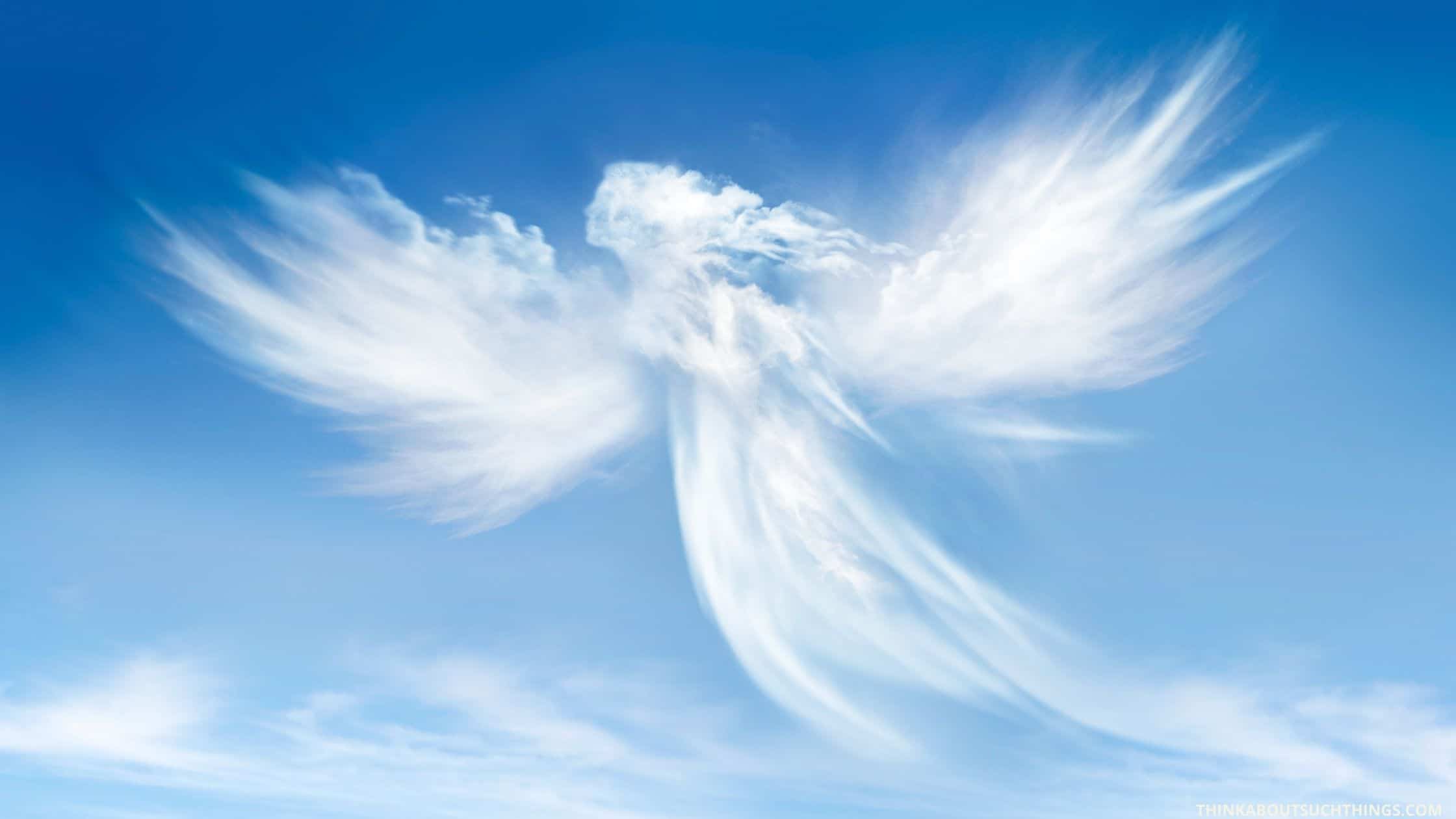 17 Amazing Facts About Angels You Probably Never Knew Think About