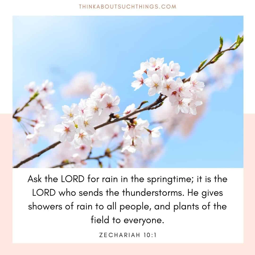 17 Beautiful Spring Bible Verses To Glean From Think About Such Things