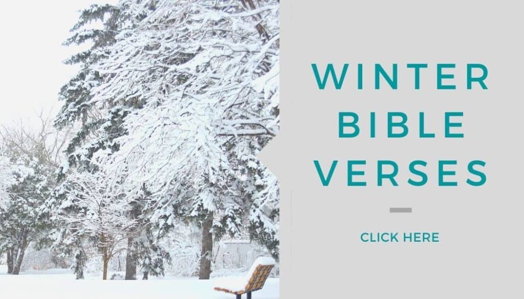 20 Interesting Bible Verses About Seasons Think About Such Things
