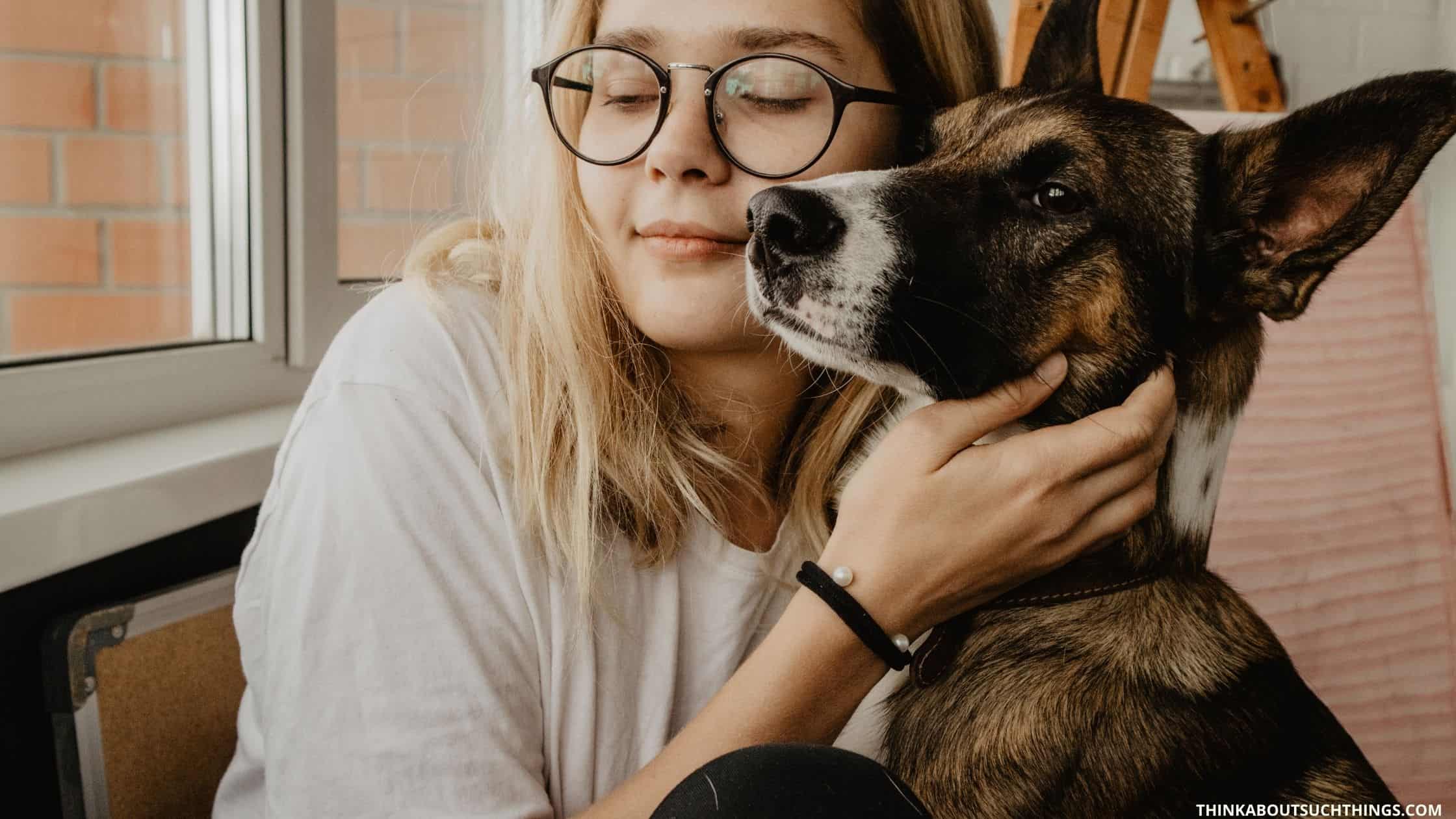 7 Powerful Prayers For Your Dog Think About Such Things