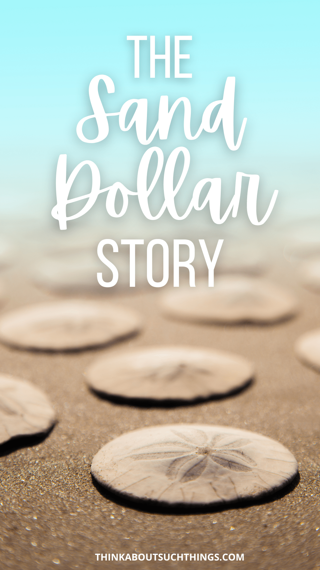 The Sand Dollar Story Think About Such Things
