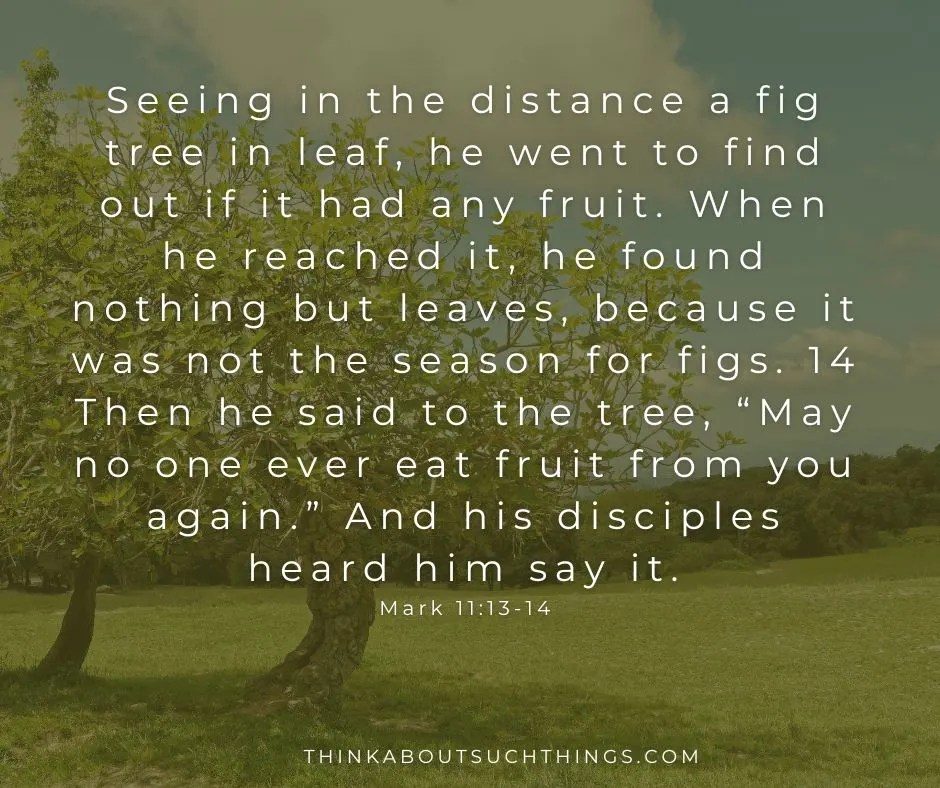 Trees In The Bible Symbolism And Significance Think About Such Things