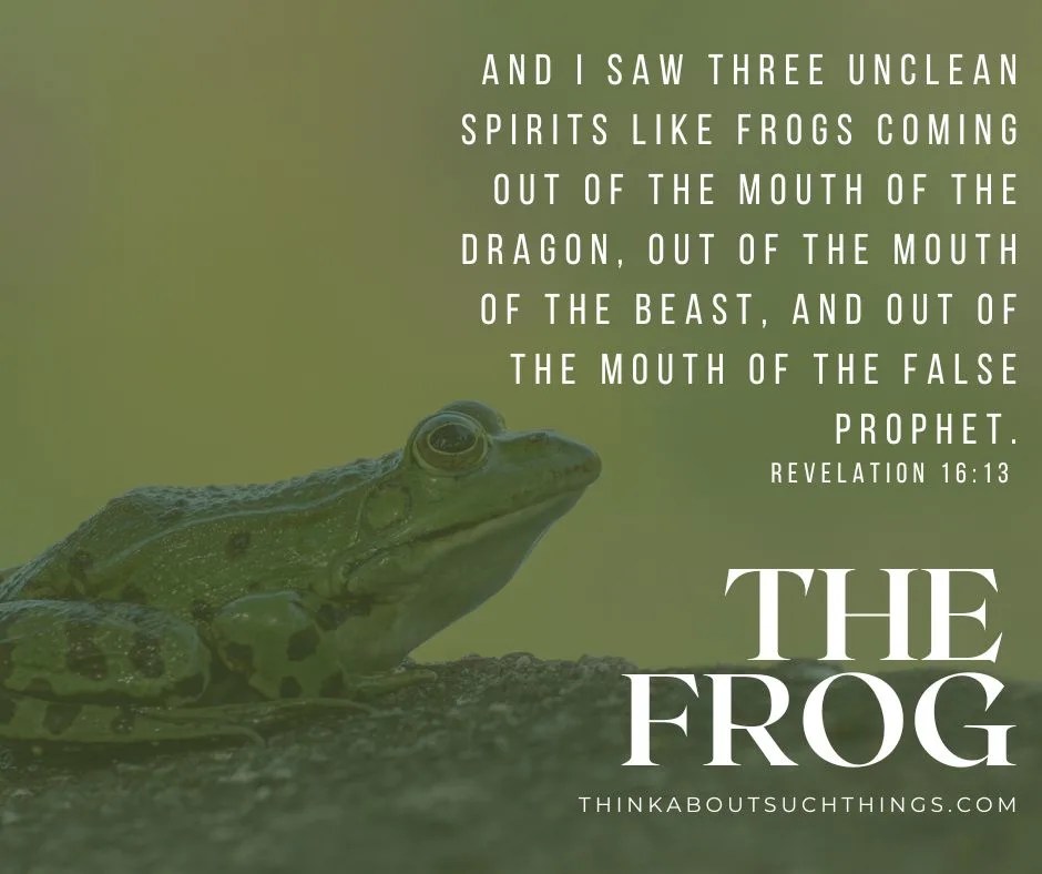 Les grenouilles dans la Bible Images, signification et autres faits Romantikes