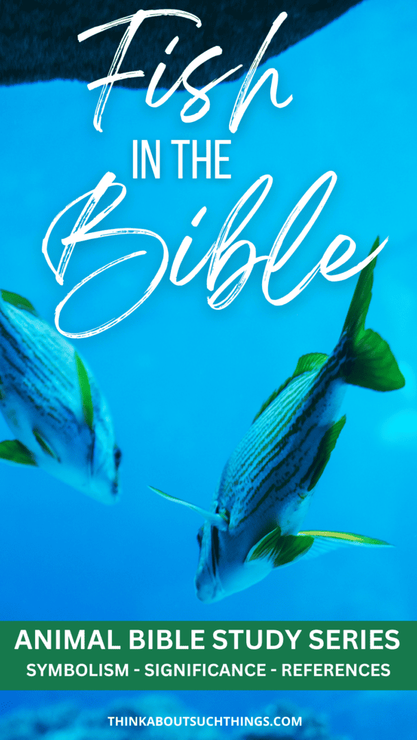 Fish In The Bible Symbolism, References, & Meaning Think About Such