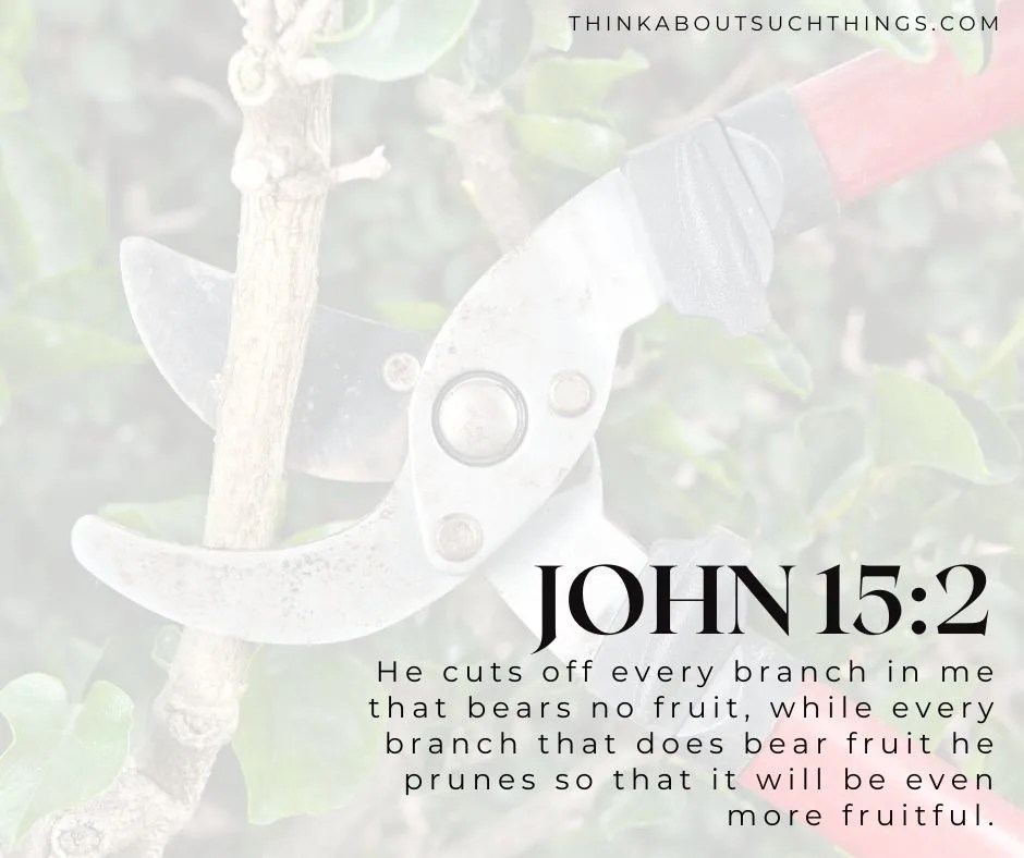 Pruning In The Bible From Fruitless To Fruitful Think About Such Things