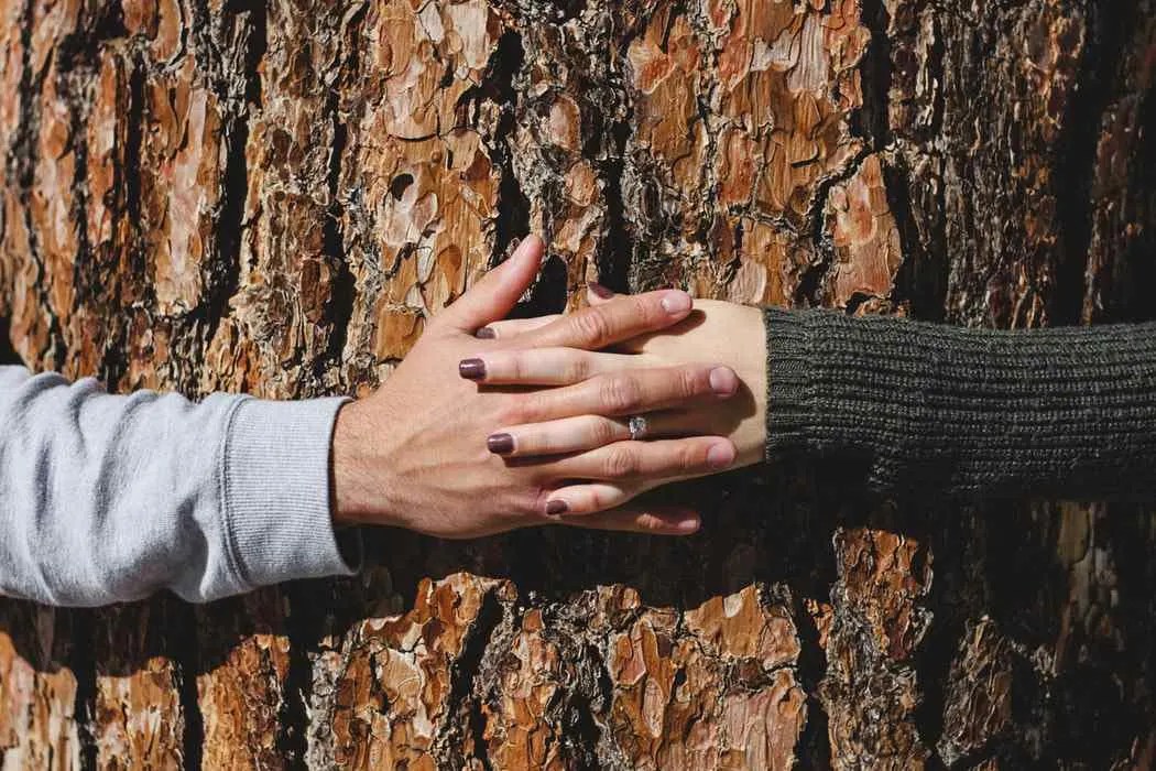 How To Solve Relationship Problems Without Breaking Up