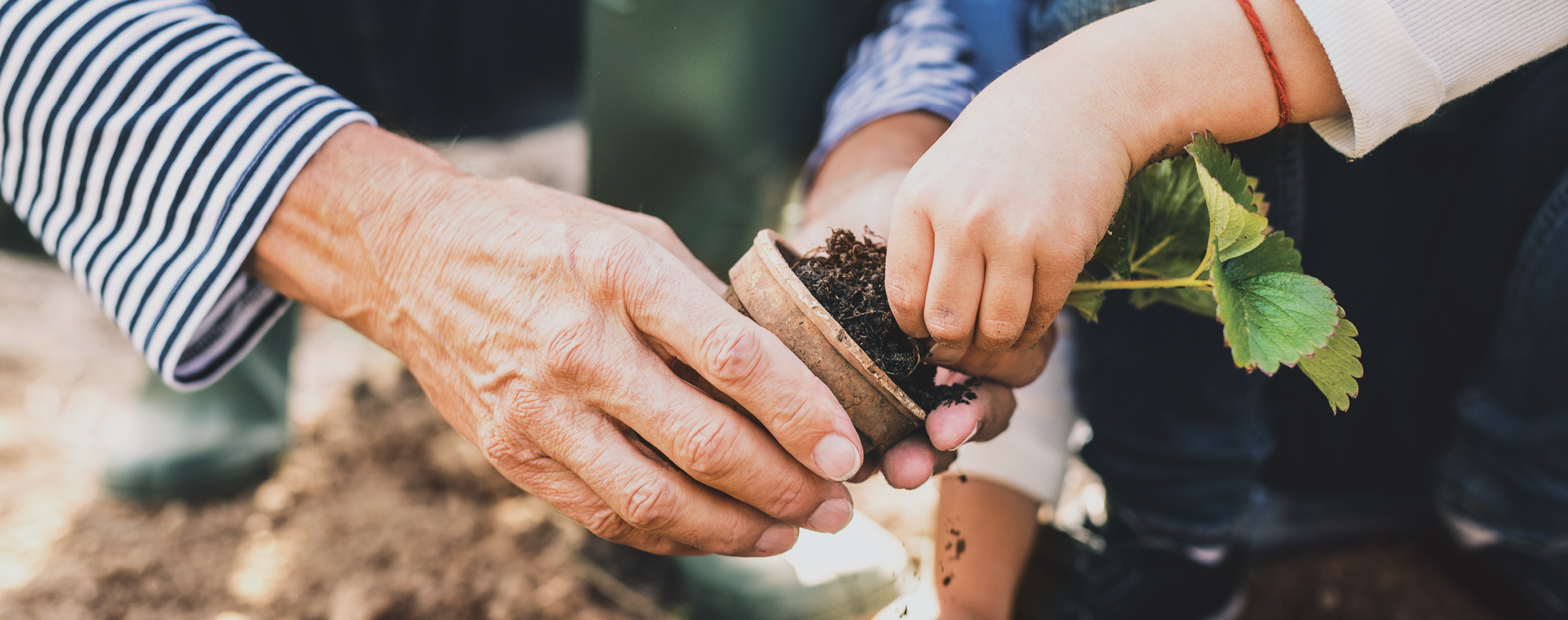 MarLu View Nursery Think Baseline