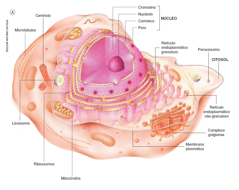 301 Moved Permanently