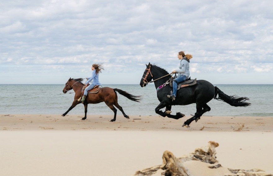 Experience the Dunes on Horseback Think Dunes Silver Lake Sand Dunes