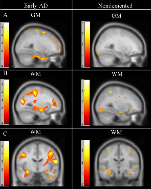 Does Exercise Keep Your Mind Young? ThinkEatTrain Does Exercise Keep Your Mind Young? ThinkEatTrain