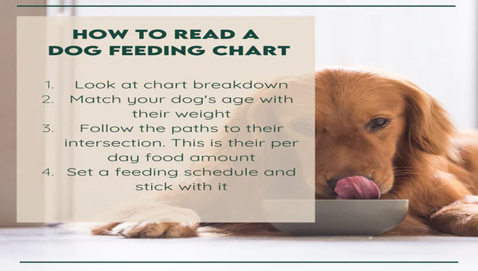 Feeding Routine And Habit