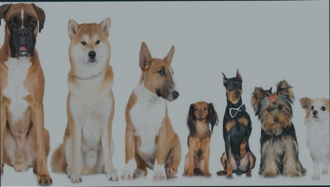 Breed History