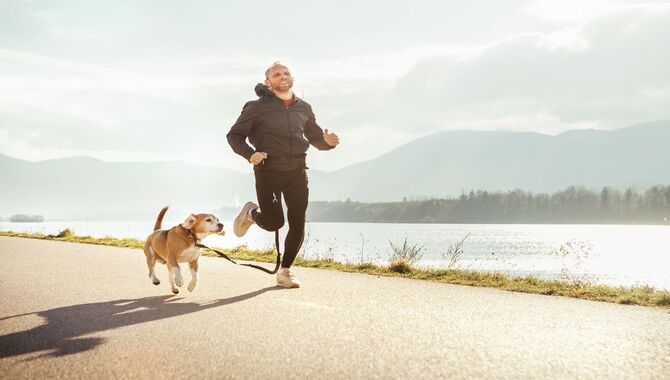 Exercise Your Dog