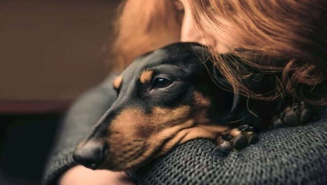 Reduce Your Dog's Excitement And Stress Levels.