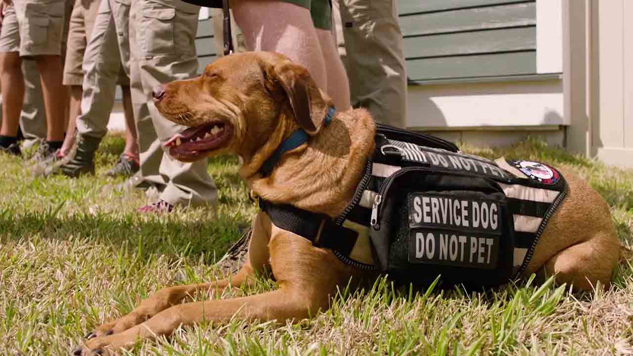 Assisting Vets Post Service